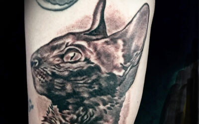 Cat tattoo