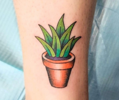 Cactus Plant Tattoo